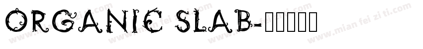 ORGANIC SLAB字体转换